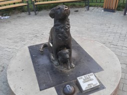 Собаку-копилку в Якутске запаяли от вандалов