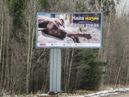 В Петербурге предоставят гранты на социальную рекламу о гуманном отношении к животным