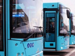 Более 500 автобусов получит Петербург в 2024 году
