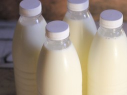 Россельхознадзор: в Оренбурге обнаружили 33 тонны фантомных молочных продуктов