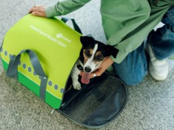 Услугой перевозки животных на соседнем кресле S7 Airlines воспользовались более 30 000 пассажиров