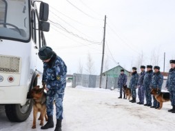 Учебные занятия для кинологов и сотрудников службы охраны состоялись в УФСИН Якутии