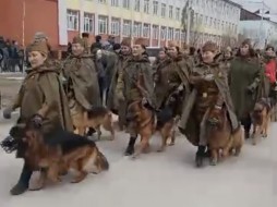 В Якутске в День Победы прошли показательные выступления собак 