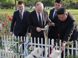 Ким Чен Ын подарил Владимиру Путину двух собак редкой породы