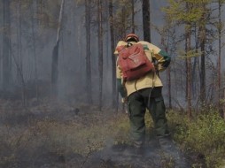 Более тысячи огнеборцев тушат лесные пожары в Якутии