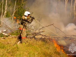 В Якутии установлены высокие классы пожарной опасности леса