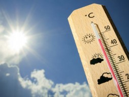 Гидрометцентр прогнозирует рекордную жару в нескольких российских регионах