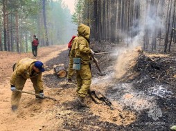 В Якутии за сутки возникло два новых природных пожара