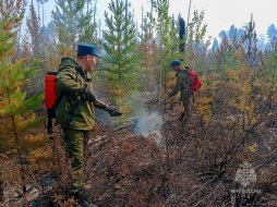 На территории Якутии действует четыре природных пожара