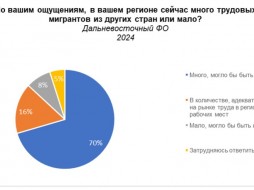 hh.ru: 70% жителей Дальнего Востока считают, что в регионе много трудовых мигрантов