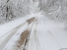 109 сел остались без света, тепла и воды из-за снегопада в Смоленской области