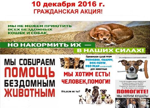 Сеть супермаркетов «Токко» в Якутске присоединилась к акции зоозащитников