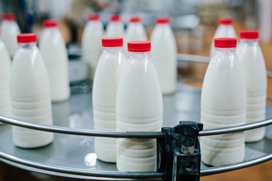 СМИ: цены на молоко вырастут на 10% в 2017 году