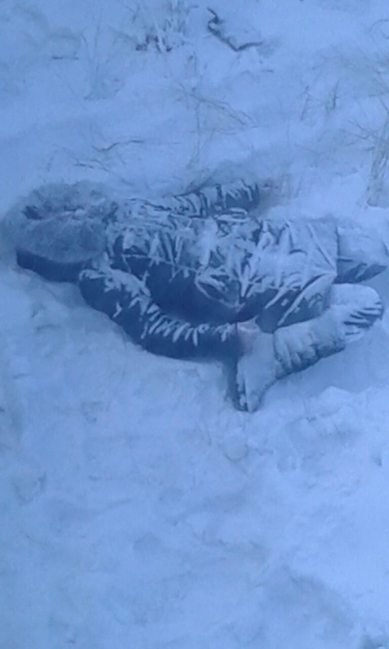 В Якутске найден труп замерзшей женщины