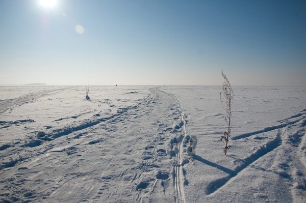В Усть-Янском районе Якутии у супружеской четы в пути сломался снегоход