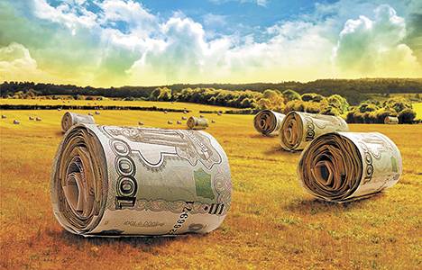 В Якутии выявлен факт мошенничества при получении субсидии на поддержку сельского хозяйства