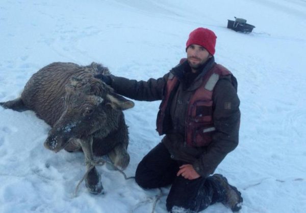 Алтайский рыбак выложил видео спасения лосенка, провалившегося под лед ВИДЕО