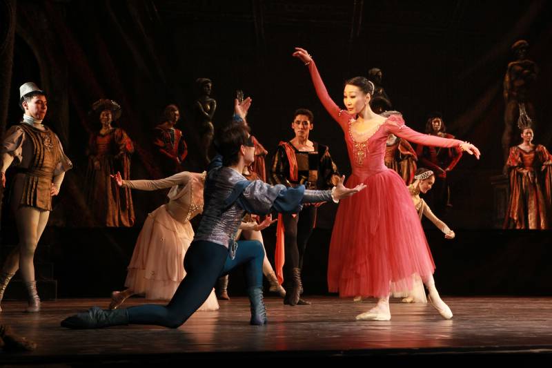 Фестиваль балета "Стерх" пройдет в Якутске с 28 марта по 2 апреля 