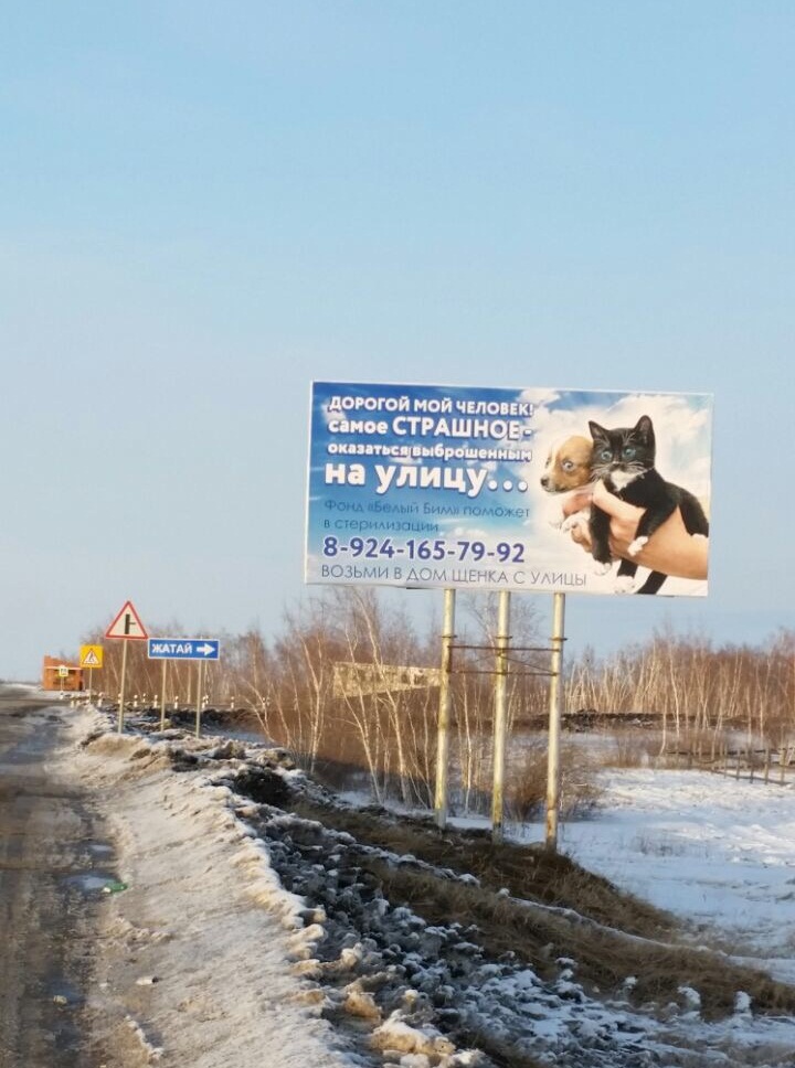 В пригородах Якутска появились билборды о животных