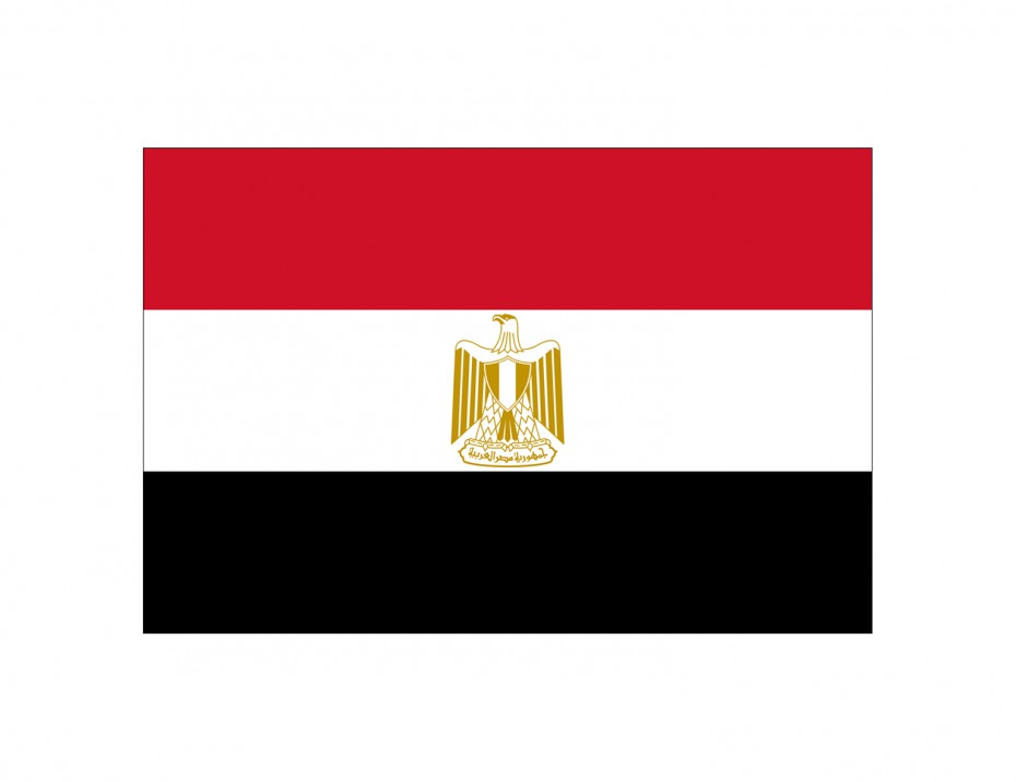 Правительство Египта приняло решение о снижении стоимости въездных виз для туристов 