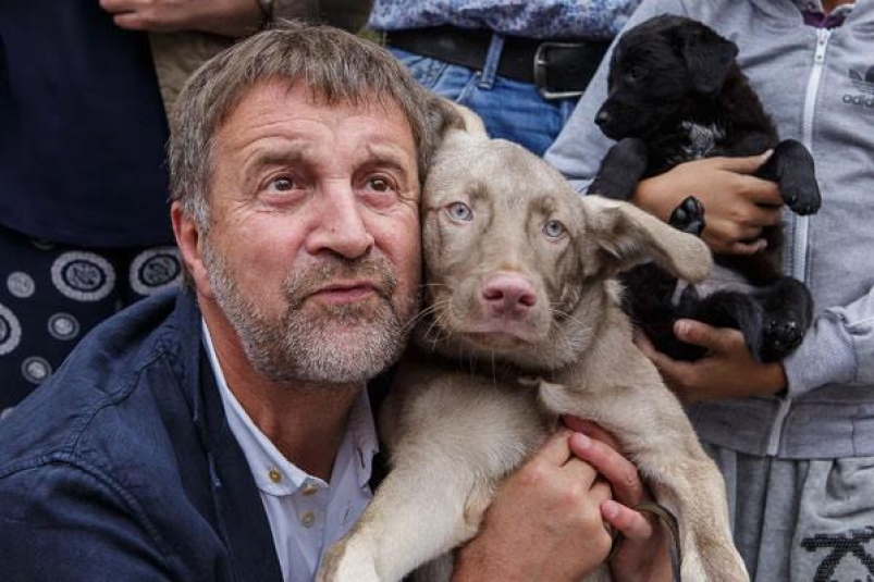 Леонид Ярмольник: "Чистка" улиц от бездомных собак - это просто варварство