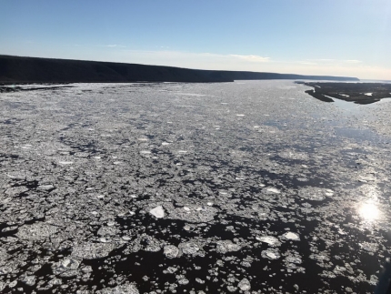 На реке Лена в районе поселка Кангалассы наблюдается густой ледоход 