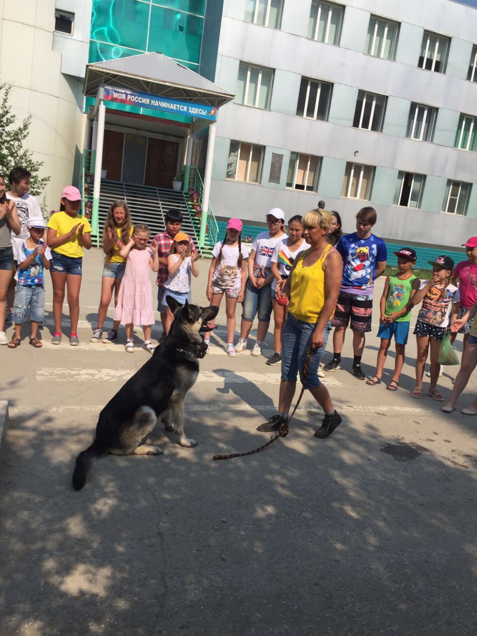 В Якутске собаки провели для учащихся школы №5 урок доброты