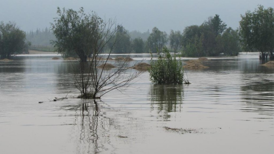 В Якутии при прохождении дождевого паводка на реке Лене ожидается подтопление сенокосных угодьев