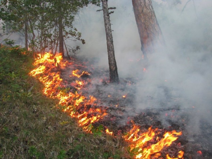 В Якутии установлено 13 лиц, причастных к возникновению природных пожаров