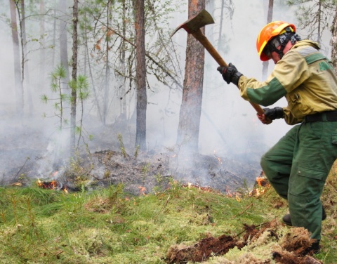 В Якутии в девяти районах действует 17 лесных пожаров 