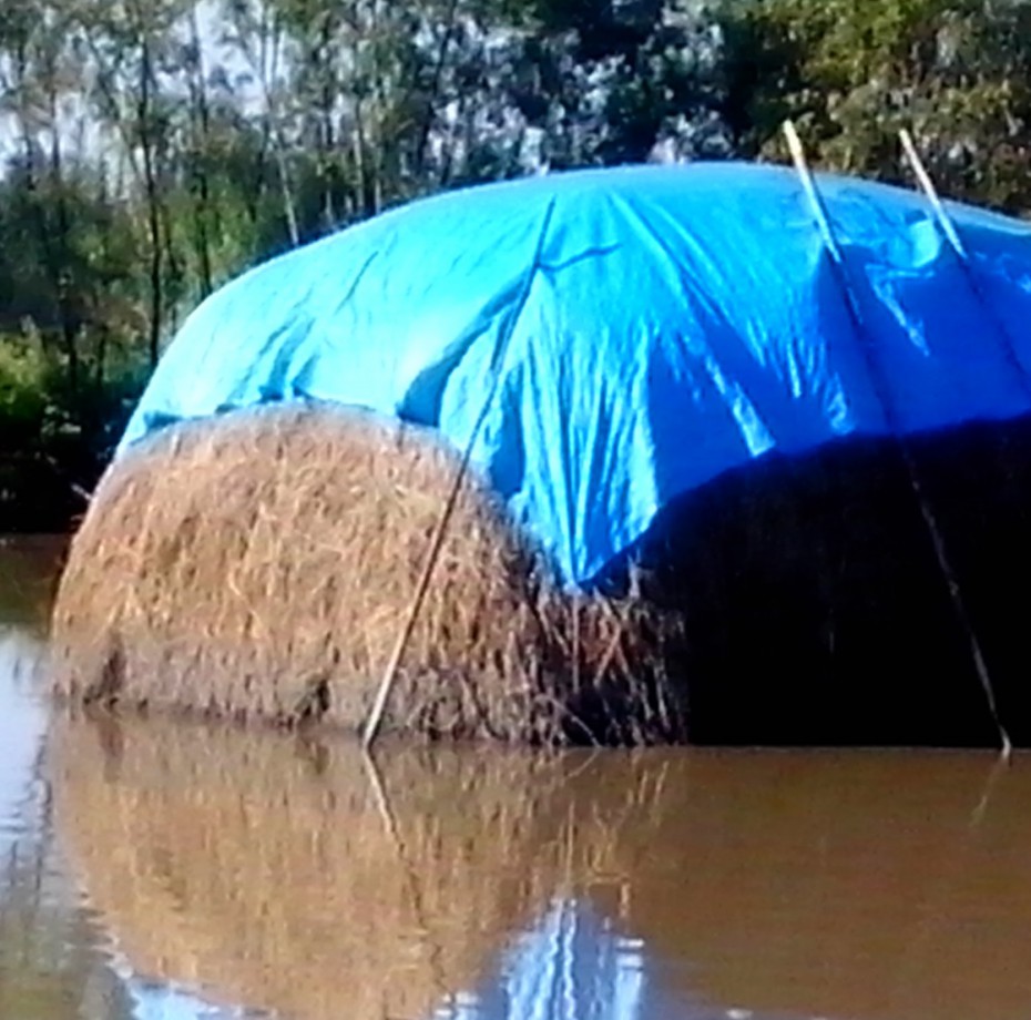 При прохождении дождевого паводка на реке Лена вероятны подтопления сенокосных угодьев