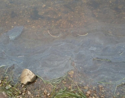 Министерство природы Якутии проверяет сообщение о нефтяной пленке в реке Нюя