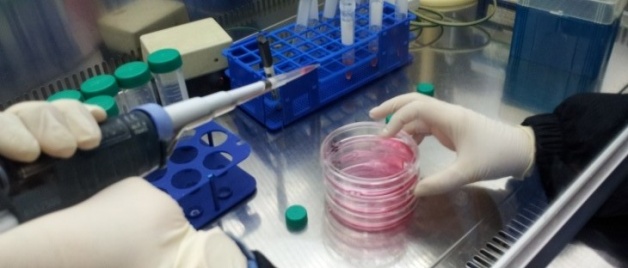 В СВФУ начнут готовить магистров по клеточным биотехнологиям