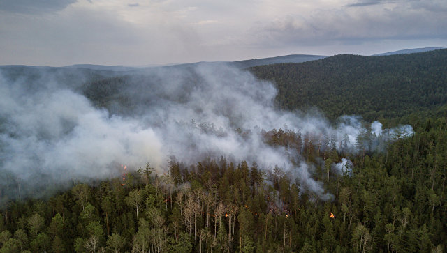 В ДФО лесные пожары уничтожили 14 гектаров леса только за минувшие сутки 
