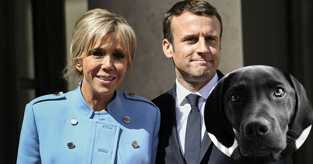 Президент Франции Эманнюэль Макрон и его супруга Бриджит взяли собаку из приюта 