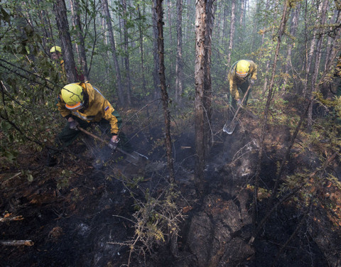 На территории "Ленских столбов" возникли два лесных пожара