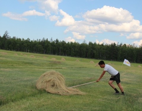 В Якутии пройдут соревнования по заготовке сена