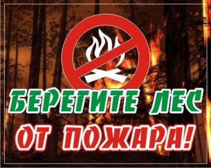 Юрий Трутнев раскритиковал работу властей и Рослехоза по тушению пожаров в Якутии