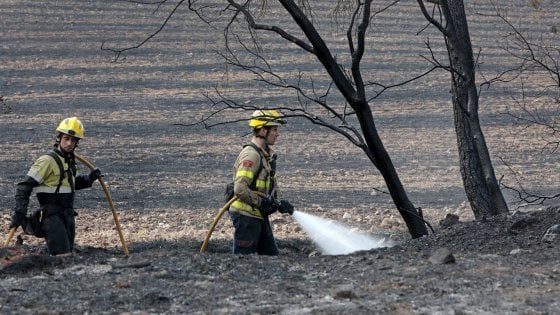 В Сицилии 15 пожарных-волонтеров намеренно поджигали леса, чтобы заработать больше денег
