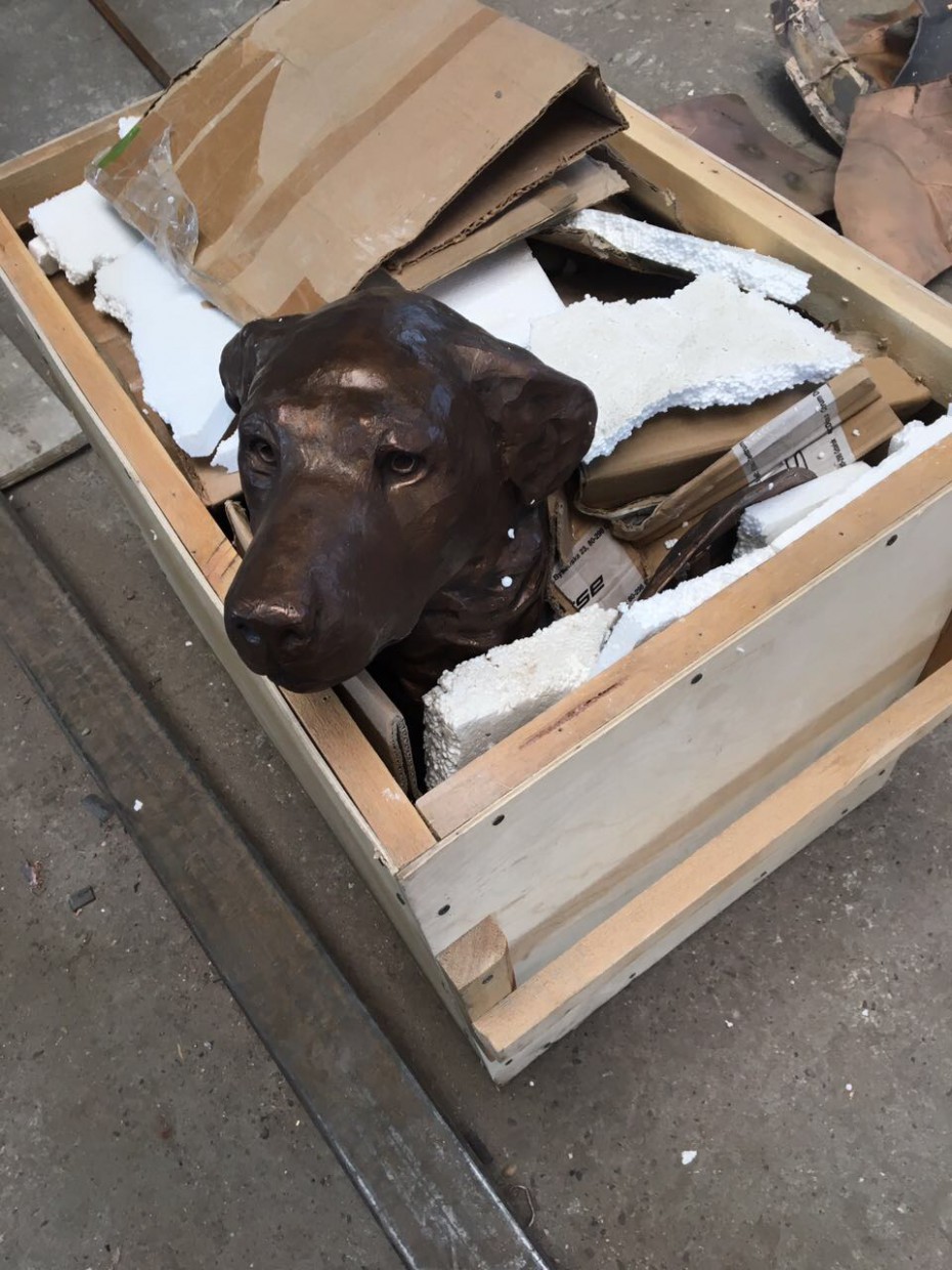 Собака-копилка отправлена из Улан-Удэ в Якутск
