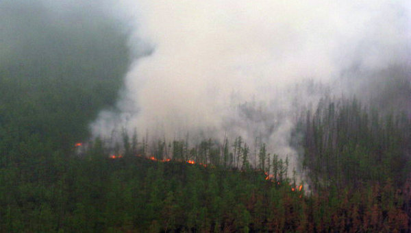 В Якутии выявлены девятнадцать лиц, причастных к возникновениям лесных пожаров