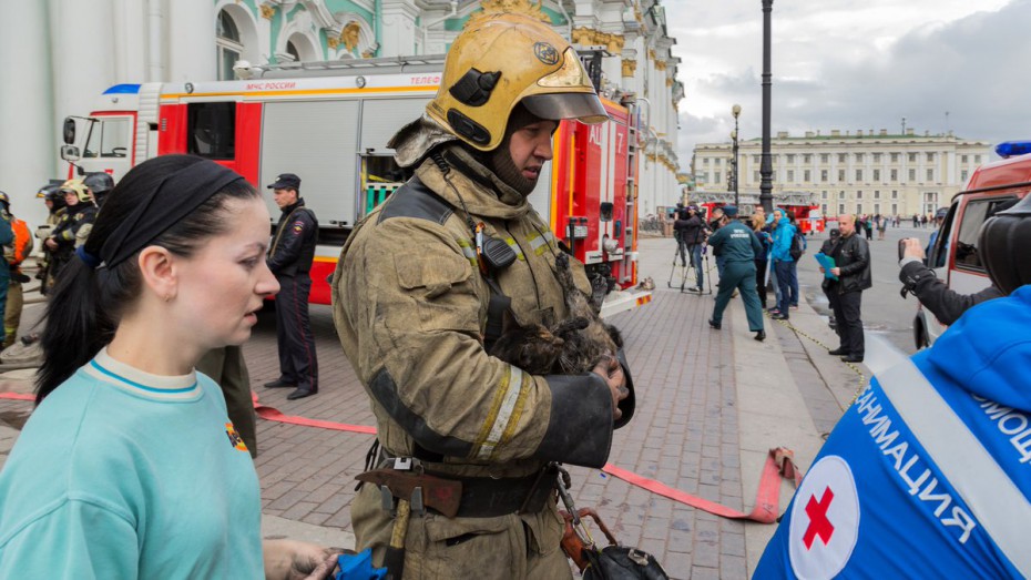 В результате пожара в Запасном доме Зимнего дворца в Санкт-Петербурге пострадали несколько музейных котов