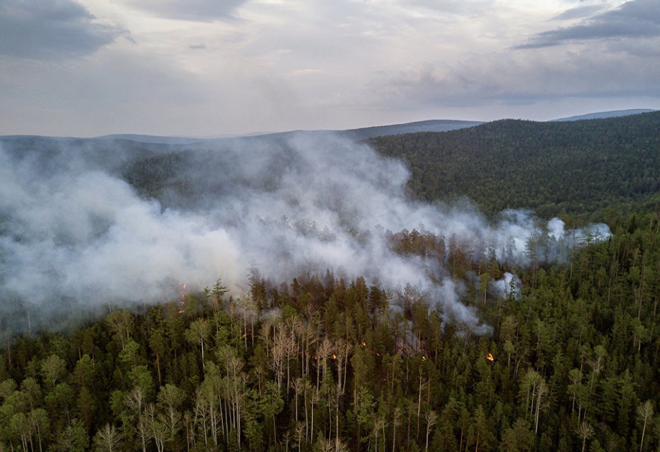 В КПРФ предлагают передать МЧС функции по тушению всех пожаров, в том числе лесных