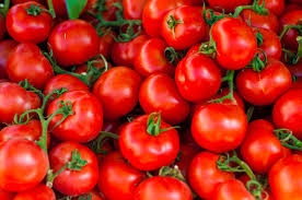 Якутские тепличные помидоры покажут на Восточном экономическом форуме