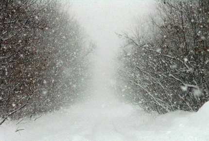 В семи районах Якутии ожидается снегопад с усилением ветра