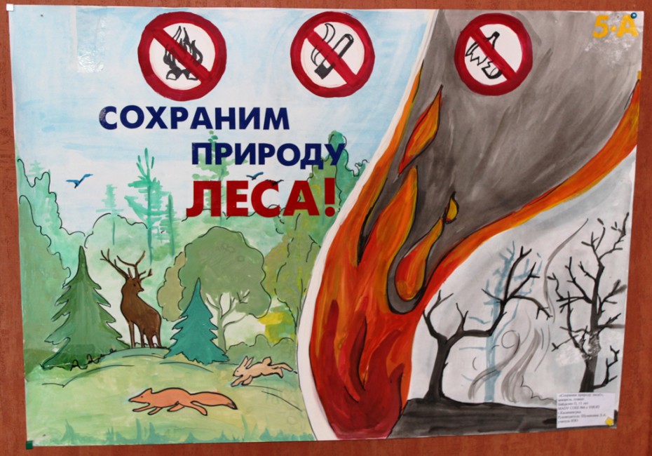 В Якутии стартовал конкурс плакатов против лесных пожаров