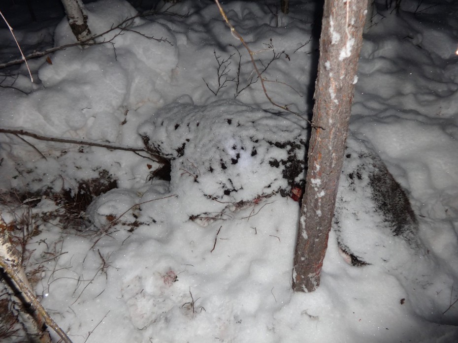 В Мирнинском районе Якутии обнаружены тела двух охотников