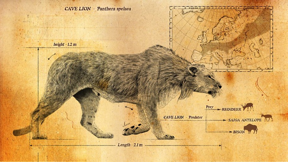 В Якутии найден пещерный лев
