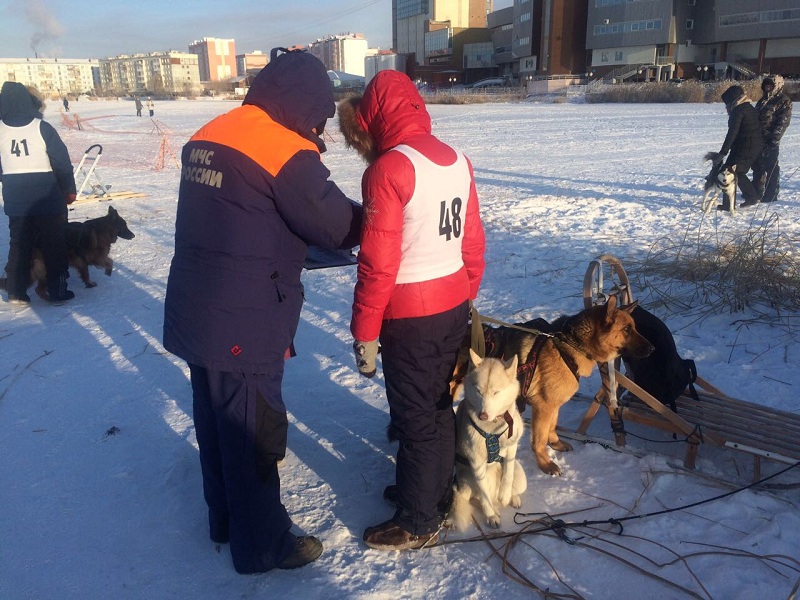 В Якутске прошли соревнования по ездовому спорту