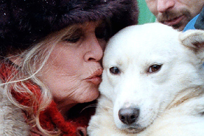 Брижит Бардо просит президента России взять под защиту бездомных животных  